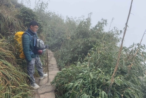 Sa Pa: Caminhada de um dia ao Pico Fansipan com guia local
