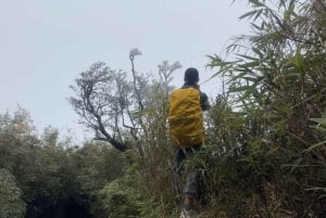 Sa Pa: Caminhada de um dia ao Pico Fansipan com guia local