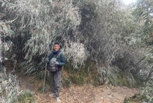 Sa Pa: Caminhada de um dia ao Pico Fansipan com guia local