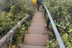 Sa Pa: Caminhada de um dia ao Pico Fansipan com guia local