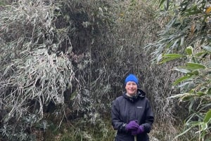 Sa Pa: Caminhada de um dia ao Pico Fansipan com guia local