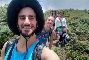 サパ：若い旅行者向けガイド付きトレッキングツアー（昼食付き）