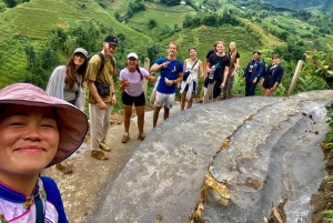 サパ：若い旅行者向けガイド付きトレッキングツアー（昼食付き）
