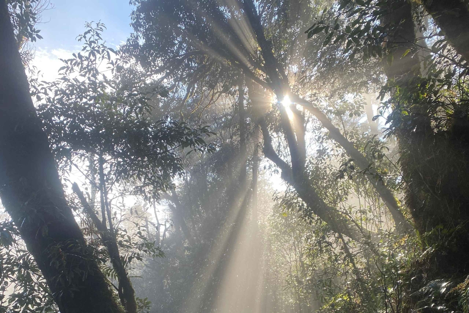 Sa Pa: Half-Day Motorbike Tour with Sunset on O Quy Ho Pass