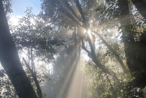 Sa Pa: Halvdags motorsykkeltur med solnedgang på O Quy Ho-passet