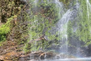 Sa Pa: Halvdags motorsykkeltur med solnedgang på O Quy Ho-passet