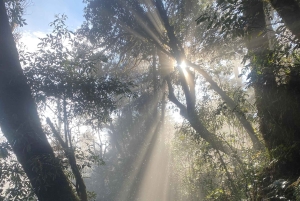 Sa Pa: Half-Day Motorbike Tour with Sunset on O Quy Ho Pass