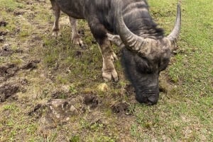 Sa Pa: Half-Day Motorbike Tour with Sunset on O Quy Ho Pass