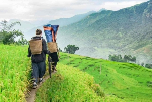 Sapa Fansipan Peak Cable Car Tour With Rice Terrace Trekking