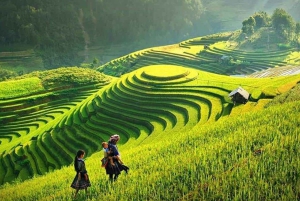 Sapa Fansipan Peak Cable Car Tour With Rice Terrace Trekking