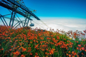 Sapa Fansipan Peak Cable Car Tour With Rice Terrace Trekking