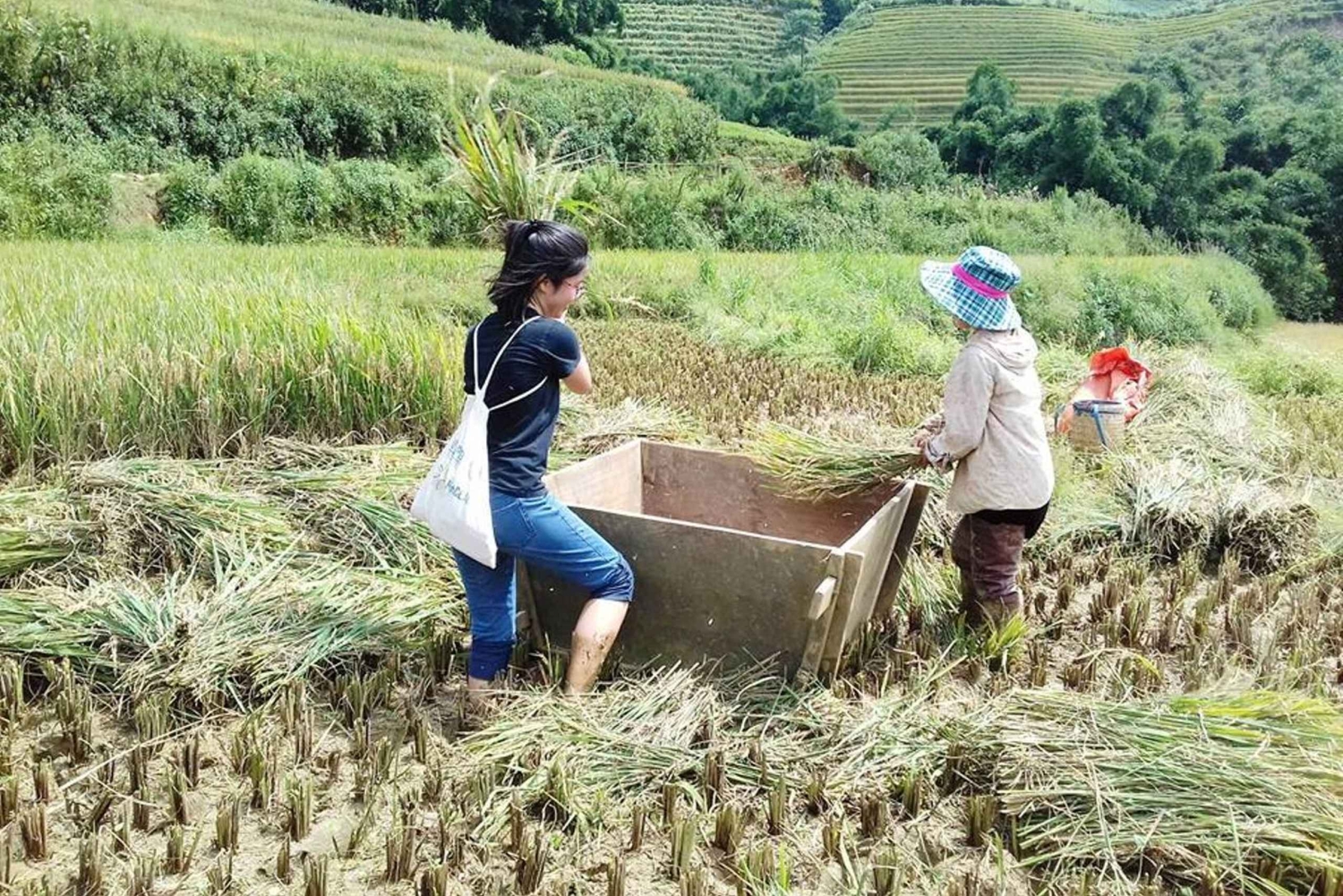 Sa Pa: Caminhada pelo vale de Muong Hoa e aldeias étnicas locais