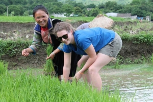 Sa Pa: Caminhada pelo vale de Muong Hoa e aldeias étnicas locais