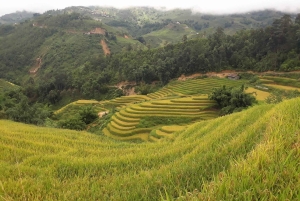 Sa Pa: Caminhada pelo vale de Muong Hoa e aldeias étnicas locais