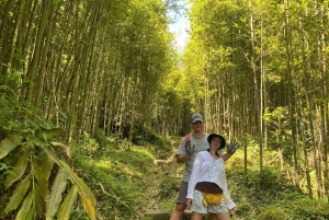 Sa Pa: Caminhada pelo vale de Muong Hoa e aldeias étnicas locais