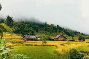 Sa Pa: Caminhada pelo vale de Muong Hoa e aldeias étnicas locais