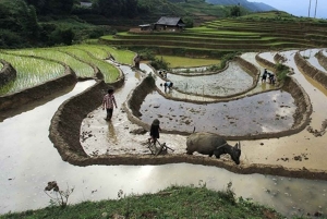 Sa Pa: Caminhada pelo vale de Muong Hoa e aldeias étnicas locais