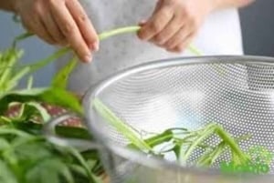 Sa Pa: Madlavningskursus i vietnamesisk familiefest