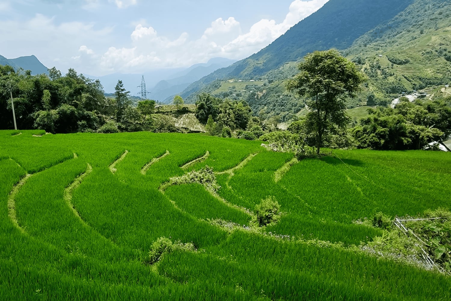 Сапа: деревни и рисовые поля — частная полудневная экскурсия на автомобиле