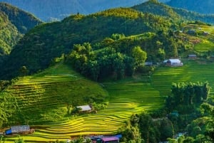 Сапа: деревни и рисовые поля — частная полудневная экскурсия на автомобиле