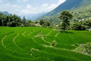 Сапа: деревни и рисовые поля — частная полудневная экскурсия на автомобиле