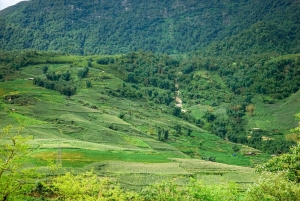 Сапа: деревни и рисовые поля — частная полудневная экскурсия на автомобиле