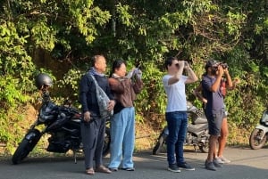 Safari - Het vinden van de meest bedreigde aap ter wereld