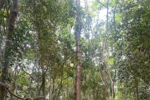 Landutflykt till Saigon City Cu Chi-tunnlarna från Phu My hamn