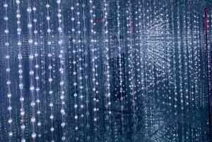 Saigon City Highlights Sky Deck, Starry Museum, Water Bus