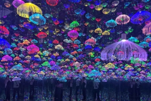 Saigon City Highlights Sky Deck, Starry Museum, Water Bus