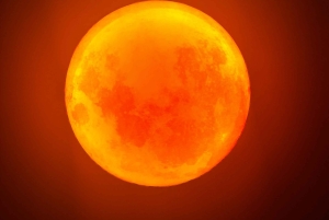 Saigon City Highlights Sky Deck, Starry Museum, Water Bus