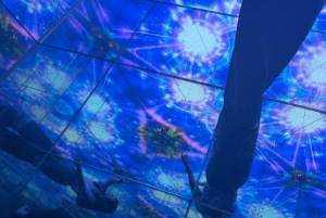 Saigon City Highlights Sky Deck, Starry Museum, Water Bus