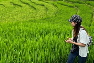1-Day Sapa Easy Trek - Explore Lao Chai - Ta Van Villages