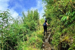 Sapa: 1-dages Fansipan Summit Trek med lokal guide + urtebad