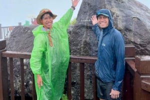 Sapa: 1-dages Fansipan Summit Trek med lokal guide + urtebad