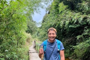 Sapa: 1-dages Fansipan Summit Trek med lokal guide + urtebad