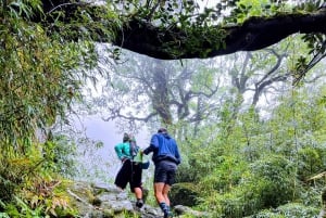 Sapa: 1-dages Fansipan Summit Trek med lokal guide + urtebad