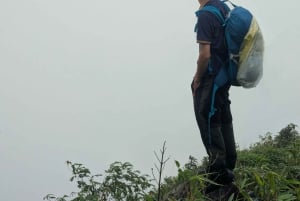 Sapa: 1-dages Fansipan Summit Trek med lokal guide + urtebad