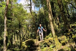 Sapa: 1-dages Fansipan Summit Trek med lokal guide + urtebad