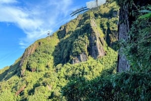 Sapa: 1-dages Fansipan Summit Trek med lokal guide + urtebad