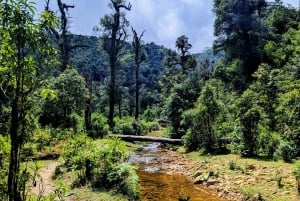 Sapa: 1-dages Fansipan Summit Trek med lokal guide + urtebad