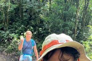 Sapa: 1-dages Fansipan Summit Trek med lokal guide + urtebad