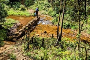 Sapa: 1-dages Fansipan Summit Trek med lokal guide + urtebad