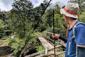 Sapa: 1-dages Fansipan Summit Trek med lokal guide + urtebad