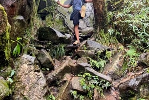 Sapa: 1-dages Fansipan Summit Trek med lokal guide + urtebad