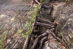 Sapa: 1-dages Fansipan Summit Trek med lokal guide + urtebad