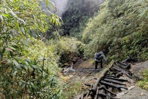 Sapa: 1-dages Fansipan Summit Trek med lokal guide + urtebad