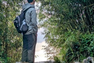 Sapa: 1-dages Fansipan Summit Trek med lokal guide + urtebad