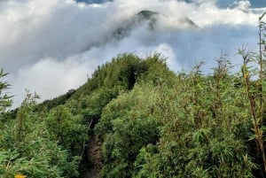 Sapa: 1-dages Fansipan Summit Trek med lokal guide + urtebad