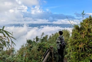 Sapa: 1-dages Fansipan Summit Trek med lokal guide + urtebad